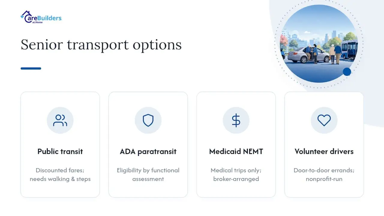 Comparison of main transportation options for seniors